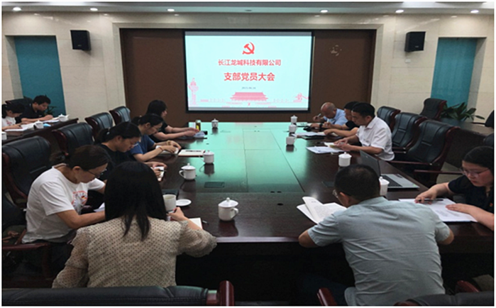 科教城投控集團(tuán)長(zhǎng)江龍城公司黨支部組織開展“崇尚英雄、學(xué)習(xí)英雄、關(guān)愛英雄” 黨史學(xué)習(xí)教育主題活動(dòng)